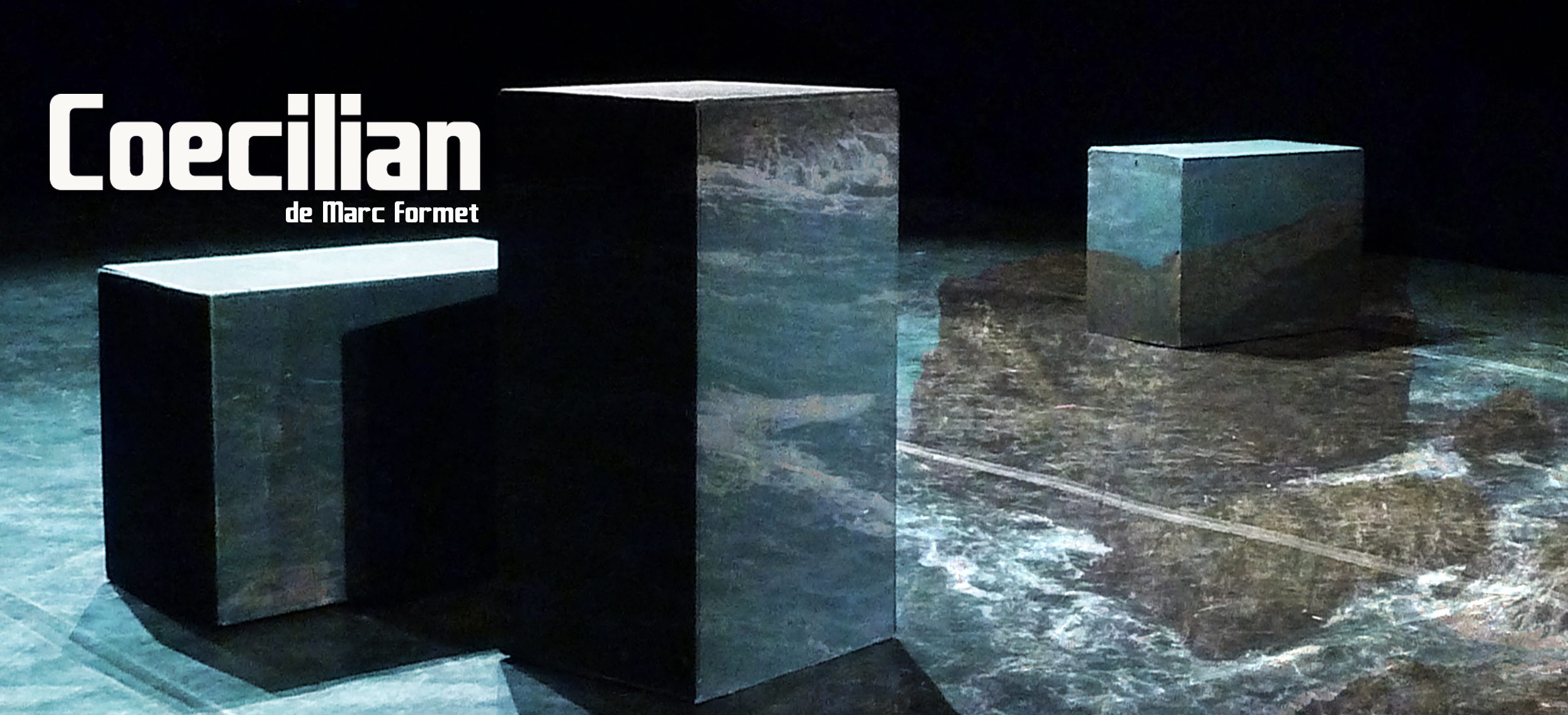 Coecilian - Compagnie La Pierre et le Tapis