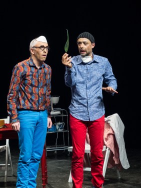 Du lierre dans les oreilles - Compagnie La Pierre et le Tapis 