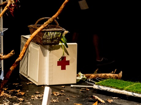 Du lierre dans les oreilles - Compagnie La Pierre et le Tapis 